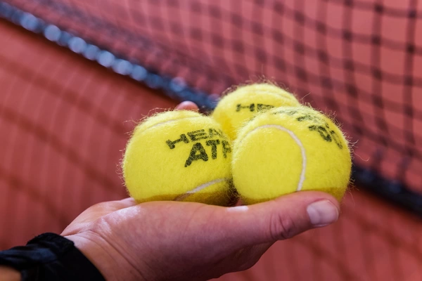 Disclaimer & copyright